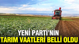 Haber gorseli